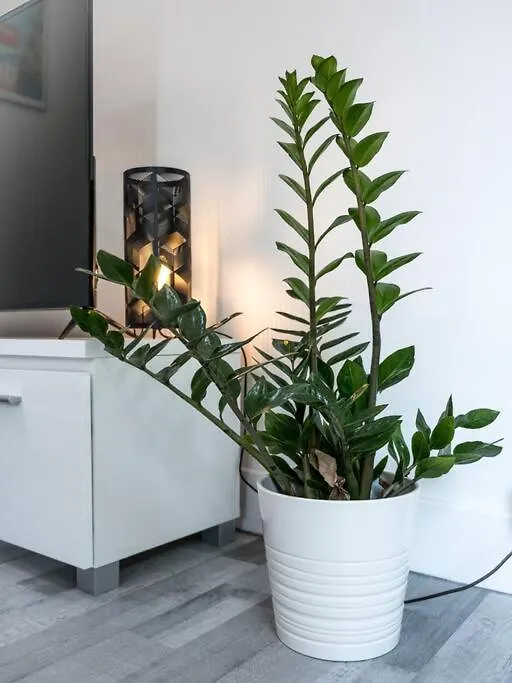 Logement Le Serein Toulon