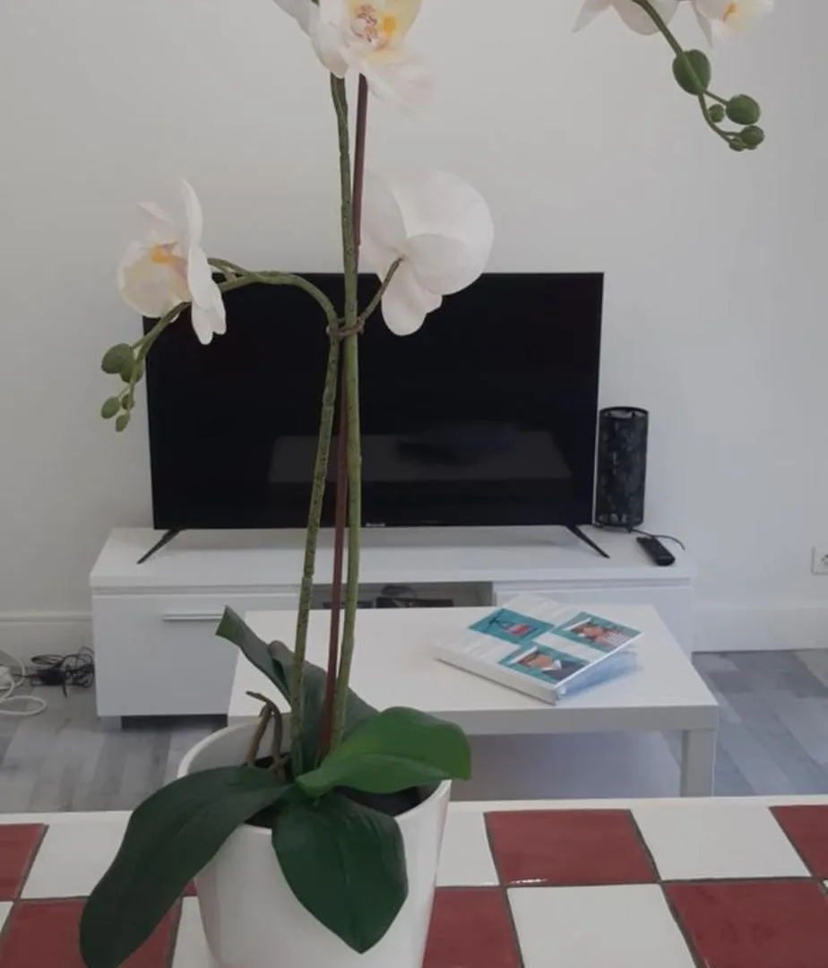 Logement Le Serein Toulon